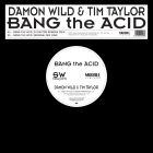 Damon Wild & Tim Taylor - Bang The Acid