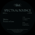 Molen - Future is Gone