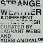 Laurant Webb & Yossi Amoyal - Strange Weather (A Different Kettle Of Fish)