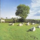 KLF - Chill out