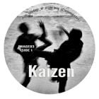 Other - Kaizen