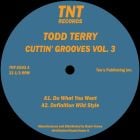 Todd Terry - Cuttin' Grooves Vol. 3