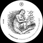 Elements of Joy / Stave - Split 4