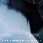 STS - Swallowed By A Whale (incl. Danny Daze x Jonny From Space & Warzou Remixes)