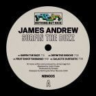 James Andrew - Surfin The Buzz