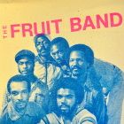 If You Feel It Say Yeah - The Fruit Band