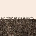 Gigi Masin & Giuseppe Caprioli - Moltitudine In Labirinto