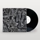 Coaxial System - Institut Night Edt.
