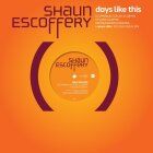 Shaun Escoferry - Days Like This (DJ Spinna remix)