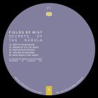 Fields Of Mist - Secrets Of The Nebula