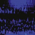 Valentino Mora - Biotope