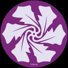 Trash Theory / D.F.N. - The Rejecteds