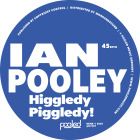Ian Pooley - Higgledy Piggledy
