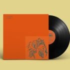 Various Artists - More Jugaar