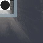 Conna Haraway - Shifted
