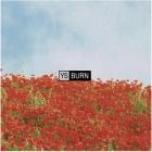 YS - BURN (12inch) - PERF000