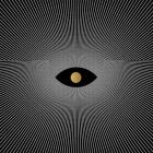 Denise Rabe - Transition LP