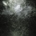 Various Artists - A Gate To The Forest (Ayu & Marijn S Remixes)