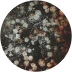 Chloe Lula - Ego Sum EP