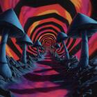 Yo Speed - Mycelium Vol.1