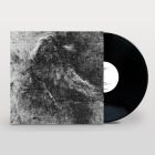 Paulitical - Basement Exiles