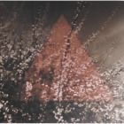Terre Thaemlitz - Soil (30th Anniversary Edition) 