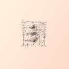Lifted - Trellis