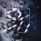 BufoBufo - Ranidae EP