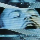 Brandy Dalton - Fallen Angel