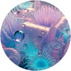 Fabrizio Lapiana - 1002B