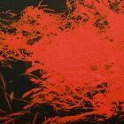 Anthony Naples - In Studio Magic