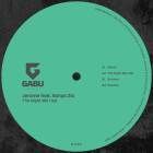 Jerome feat. Sonya Zlo - The Night We Had