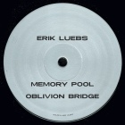 Erik Luebs - Reversing Time