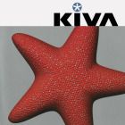 Kiva - Kiva