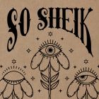DJ 3000 - So Sheik
