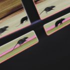 DJ JM - Rat Race