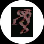 Tomas Kunkel - Body Language