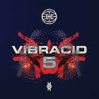 Various Artists - Vibracid 5 - The Rhyme EP