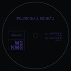 Polygonia & Rodhad - Mauvier