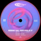 Blue Vision - Machines Will Transform Us EP