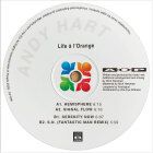 Andy Hart - Life a l Orange (Fantastic Man remix)