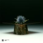 Various Artists - Curation Two: D.Dan