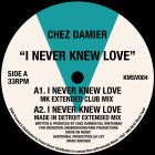 Chez Damier - I Never Knew Love