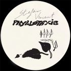 Stefan Vincent - Phyllotaxis 