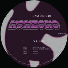 Liam Sinigoi - Darling (feat. Ildec Remix)