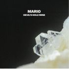 Mario - Devil’s Hole Mine