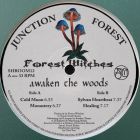 Forest Witches - Awaken The Woods