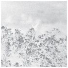 Marwan - Troebel Water