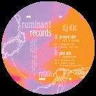 DJ Dic - RR001 (Stones Taro remix)
