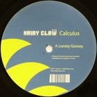 Calculus - Loosey Goosey (reboot remix)